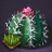 Cactus Seed Bundle