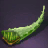 Aloe Seed Bundle