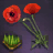 Poppy Seed Bundle