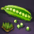 Bean Seed Bundle