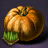 Pumpkin Seed Bundle