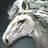 Celestial Pegasus