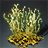 Goldwort Fern Seed