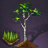 Aspen Woodlot