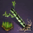 Bamboo Woodlot