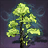 Experia Pine Patch