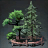 Improved Skyreach Woodlot