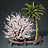 Improved Fragrant Fruiting Woodlot
