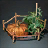 Improved Produce Seed Bundle