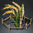 Improved Grain Seed Bundle