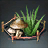Improved Medicinal Seed Bundle