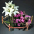 Improved Flower Seed Bundle