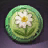 Enla Festival Coin