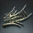 Growling Zephyr Bonekraal Decor