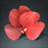 Ruby Gembloom Petal