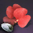 Ruby Gembloom Seed