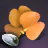 Citrine Gembloom Seed