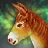 Carrot Dash
