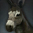 Gray Donkey Foal