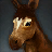 Brown Donkey Foal