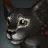 Coalmane Snowlion Cub
