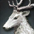 White Reindeer
