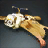 Enhanced Squirrel Glider Companion