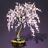 Large Everbloom Cherry Tree