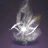 Gallant White Elk Anima