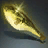 Gold Pufferfish