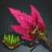Amaranth Seed Bundle