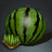Watermelon Seed Bundle