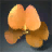Impatiens Seed