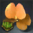 Impatiens Seed Bundle