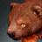 Crater Cub