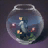 Fishbowl
