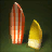 Colorful Camp Surfboard
