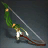 Scallion Sniper