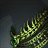Epherium Meadow Chestplate