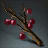 Purification Branch