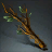 Wisdom Branch