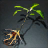 Day Root