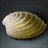 Pearl Oyster