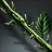 Sticky Aloe Gel