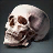Pygmy Skull